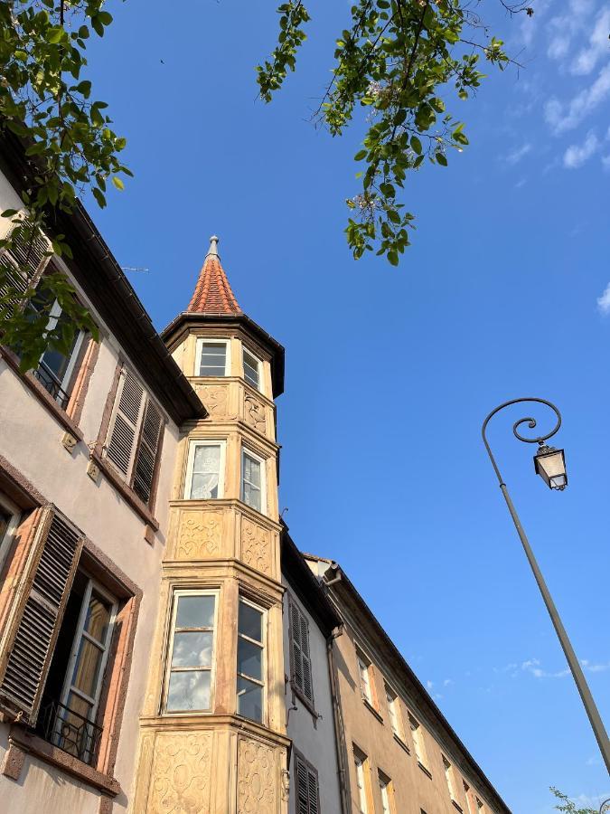 Le Baumann Concept: Appartement De Charme Dans Un Monument Historique 科尔马 外观 照片